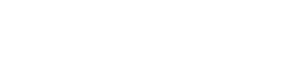 Mauritius Network Services (1)